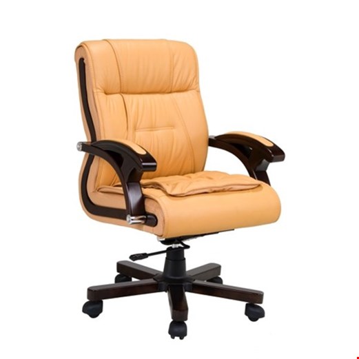 Kursi Kantor Direktur Fantoni Kiev